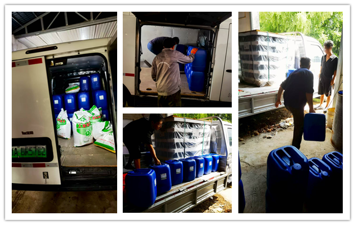 康恩贝发货4_副本-1 康恩贝发货4_副本-1